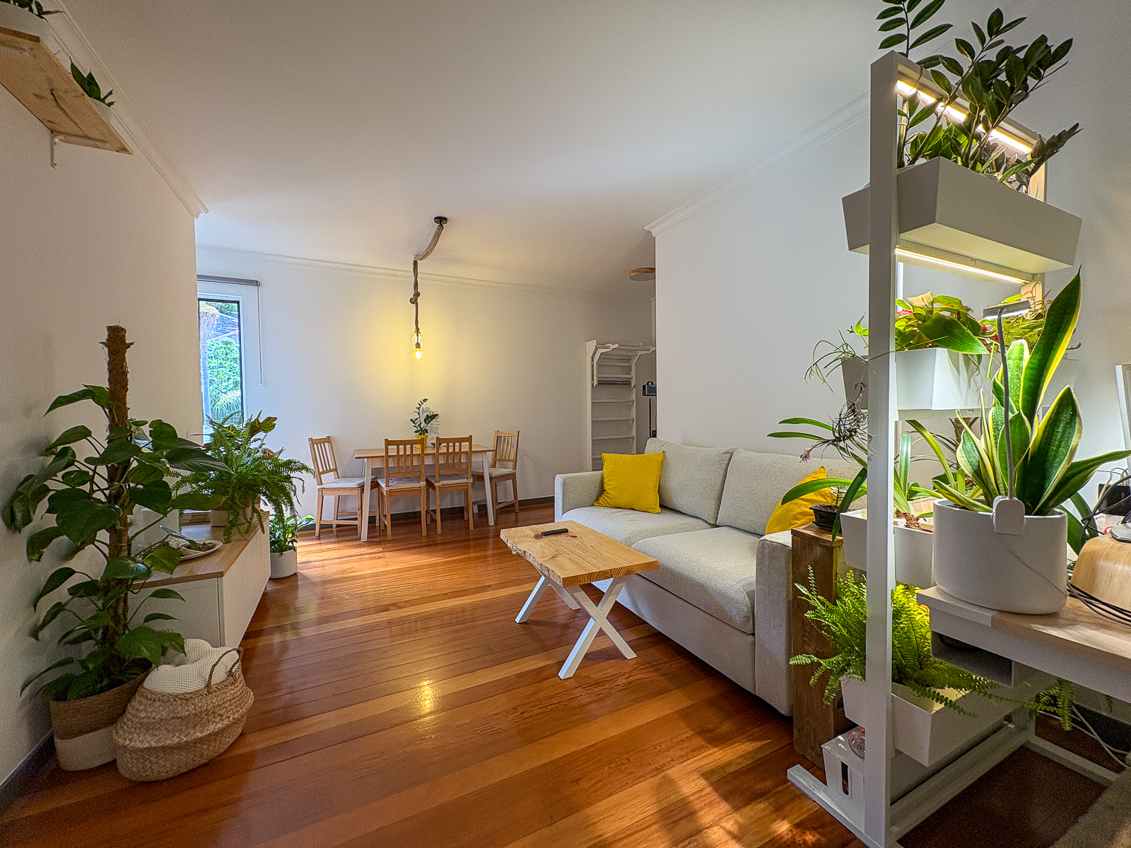 Living room in Apartment Rainforest