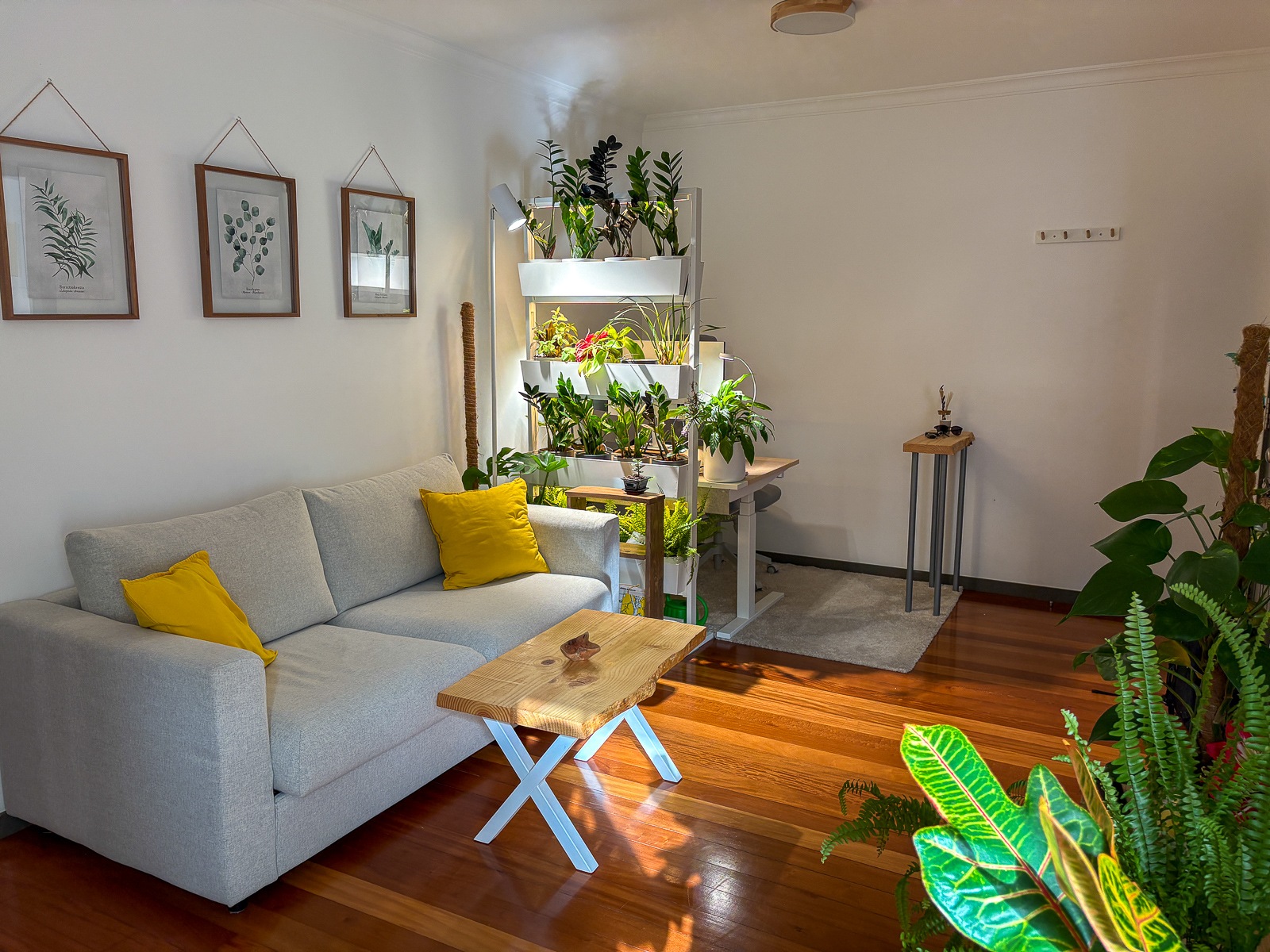 Living room in Apartment Rainforest
