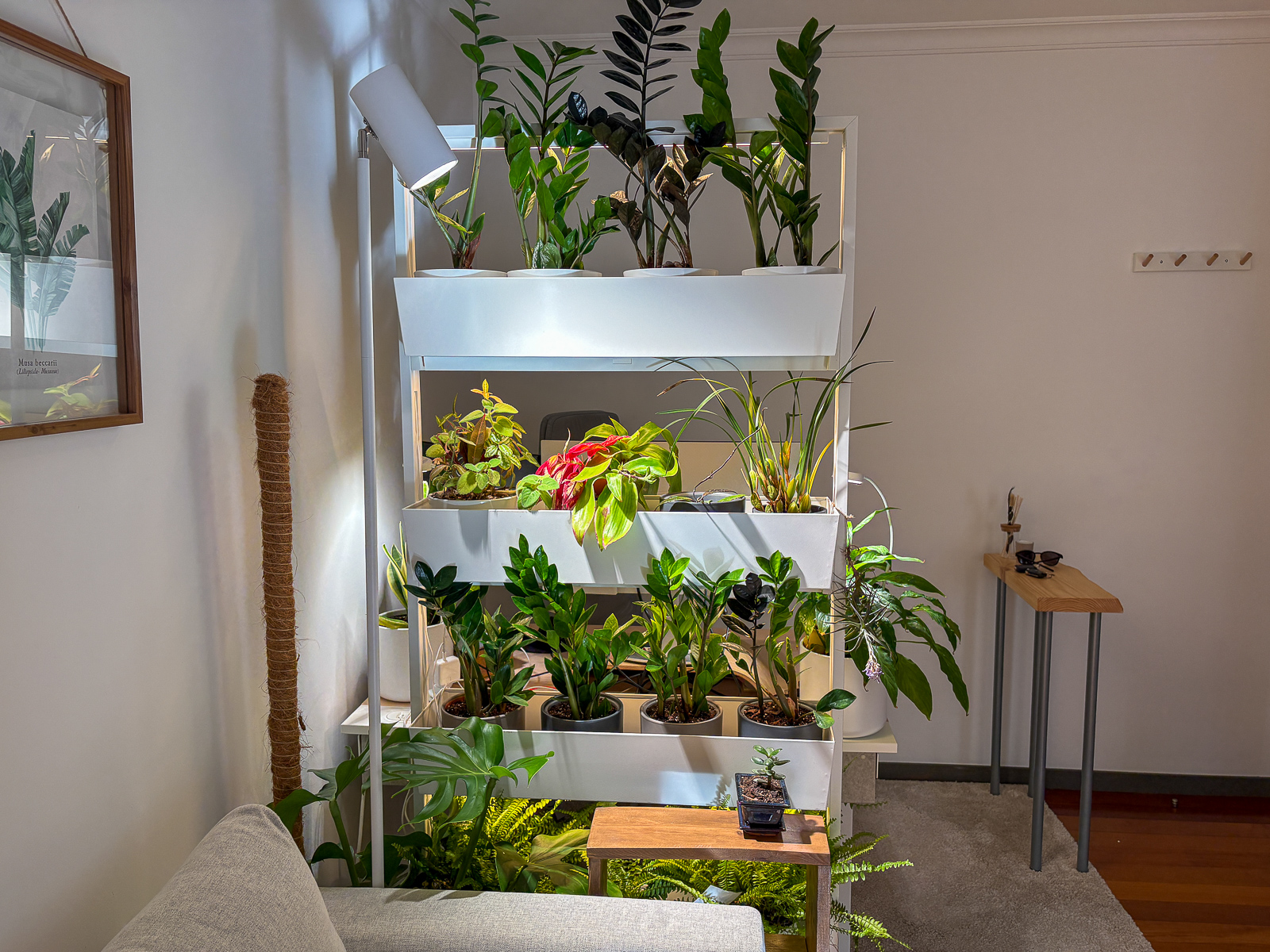 Plant wall in Apartment Rainforest